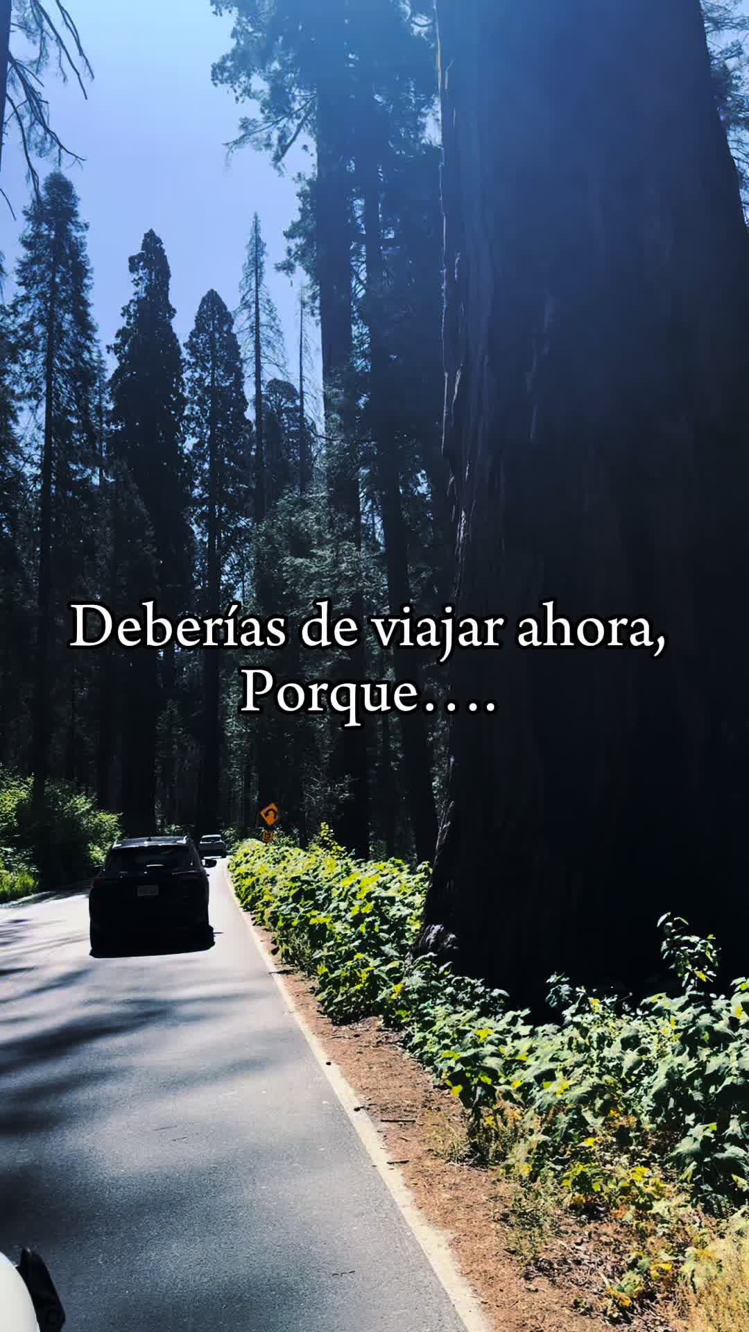@Heydy Velazquez 82