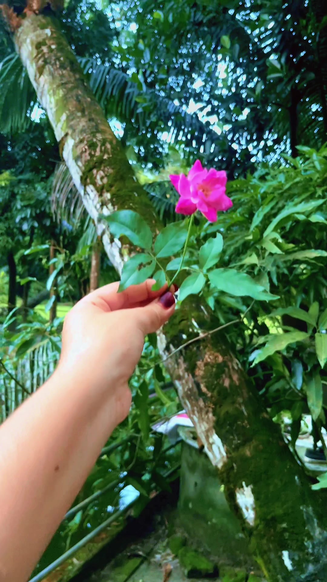 @đǎPREMAđǎ