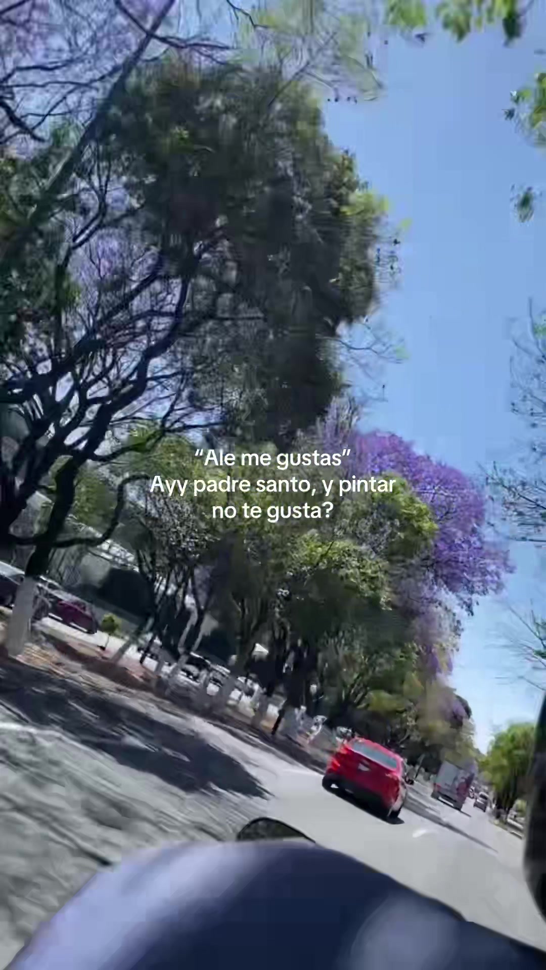 @Alesita 🪩🫧