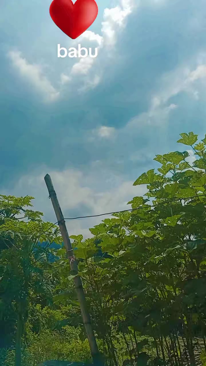 @RAJA