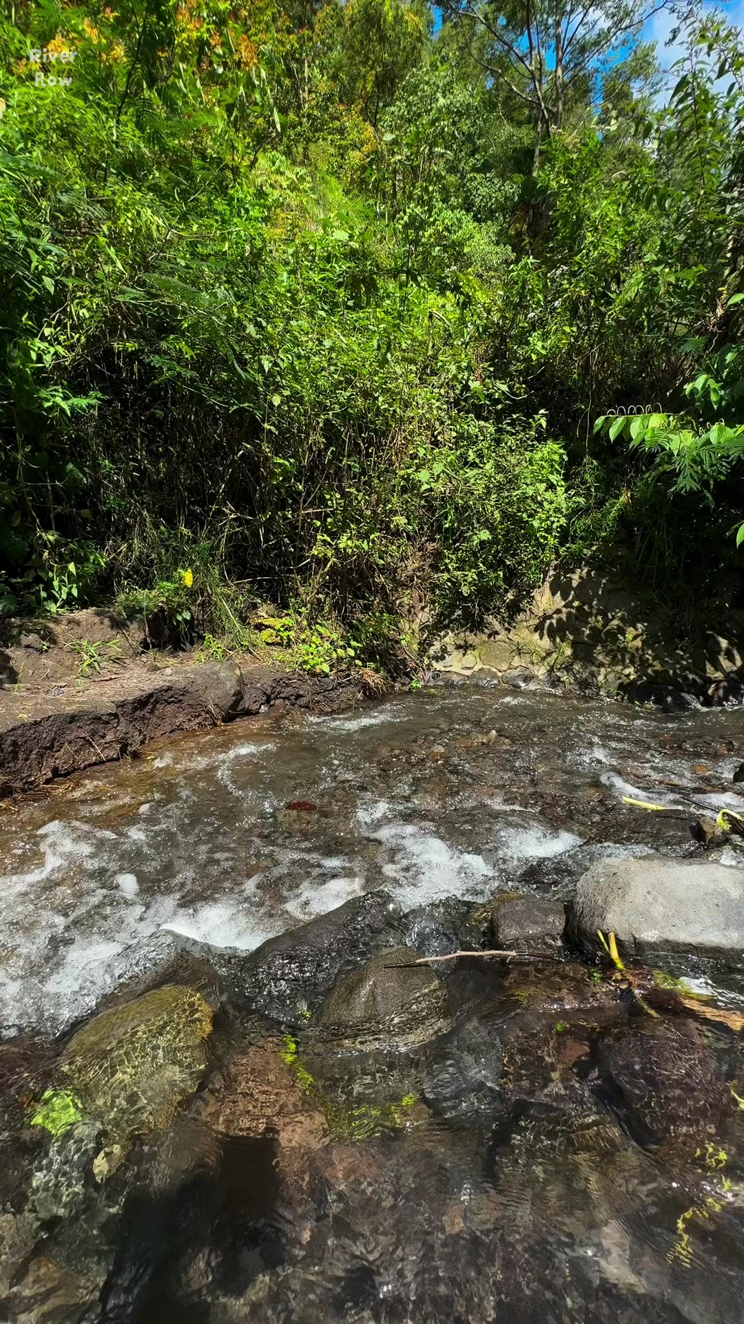 @River Flow