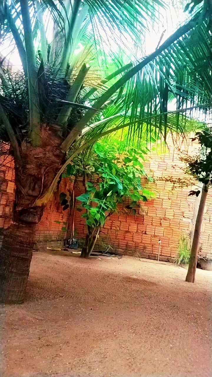 @Gil Ferreira Silva