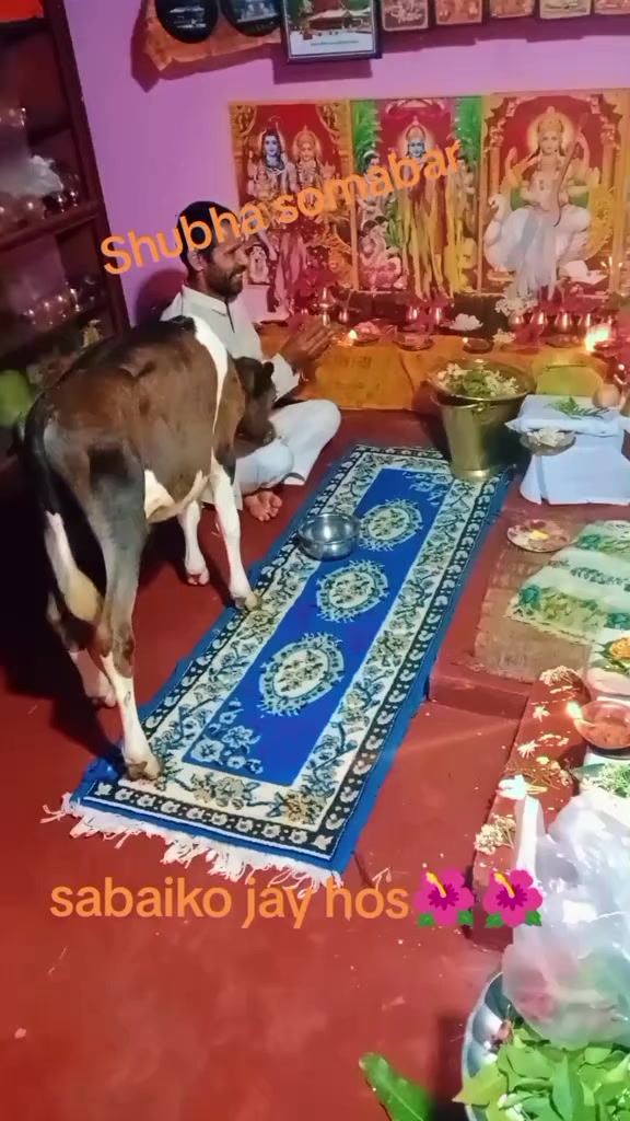 @Krishna Adhikari