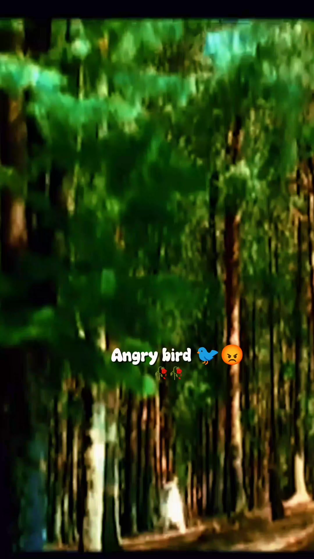 @💫𝖆𝖓𝖌𝖗𝖞 𝖇𝖎𝖗𝖉𝖘💫💥