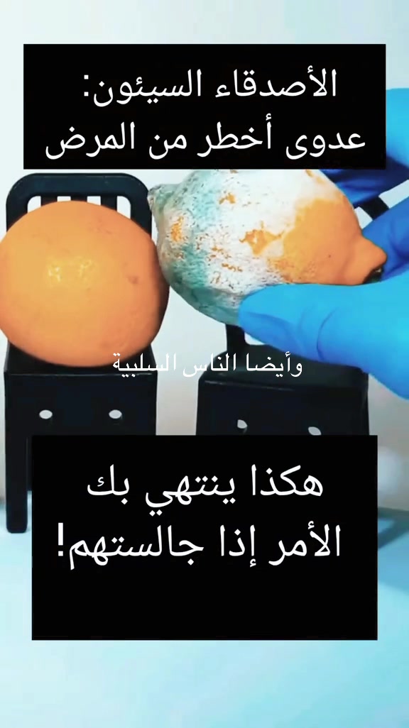 @زيزو Zak ملك الابتسامه 🌹