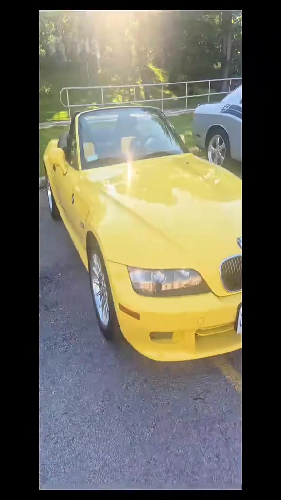 @مايا 🇾🇪🇨🇦