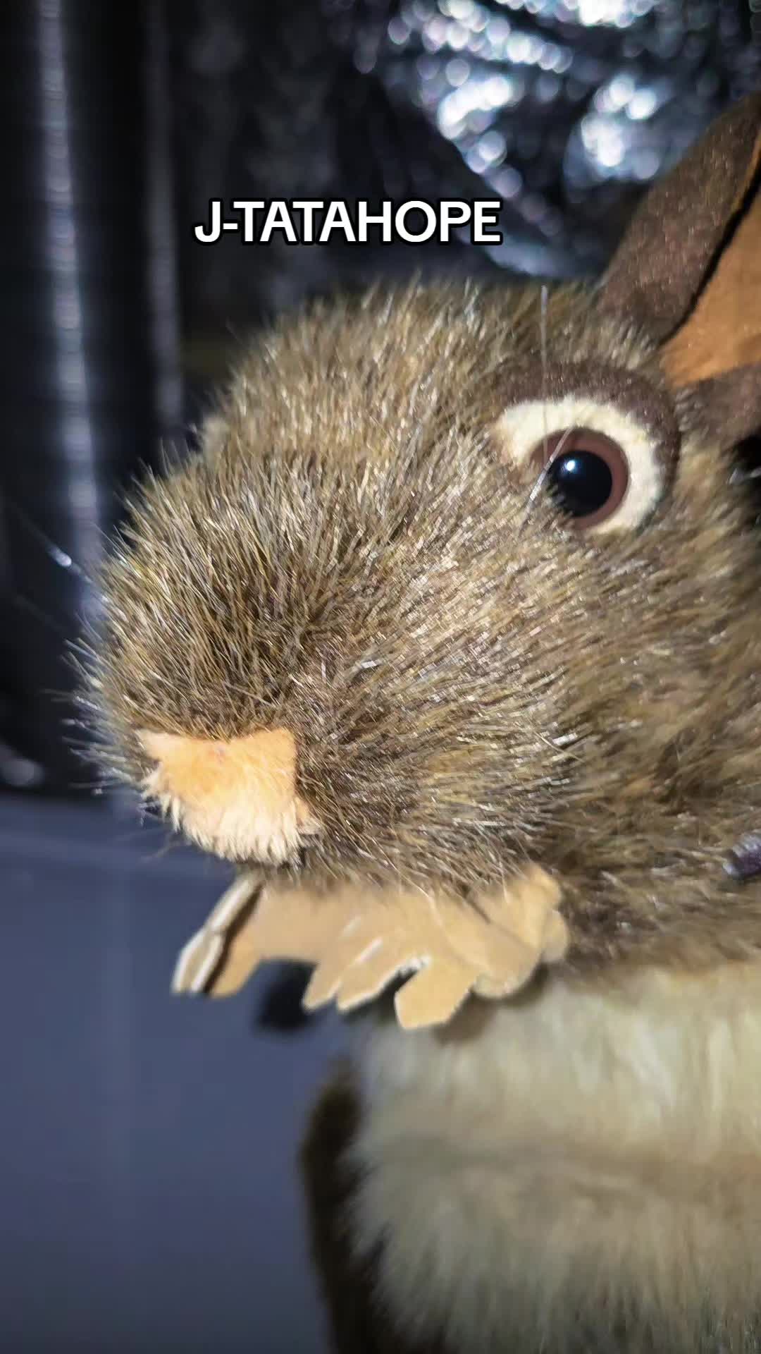@RATATA