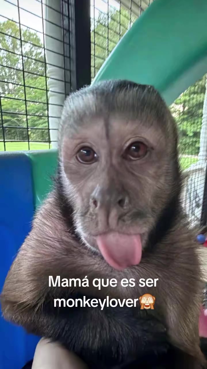 @ℙ𝕣𝕚𝕤𝕔𝕚𝕝𝕒🥰❤️🙉🙈🍌