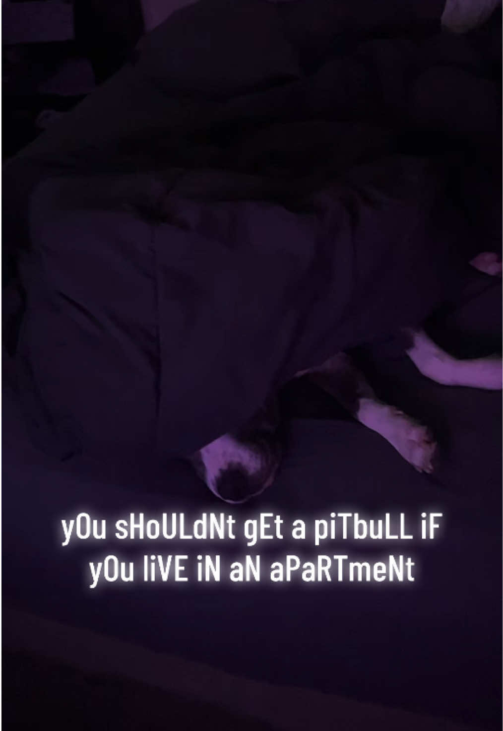 @Cardi Barks