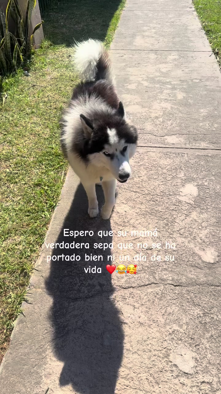 @Majo Añez