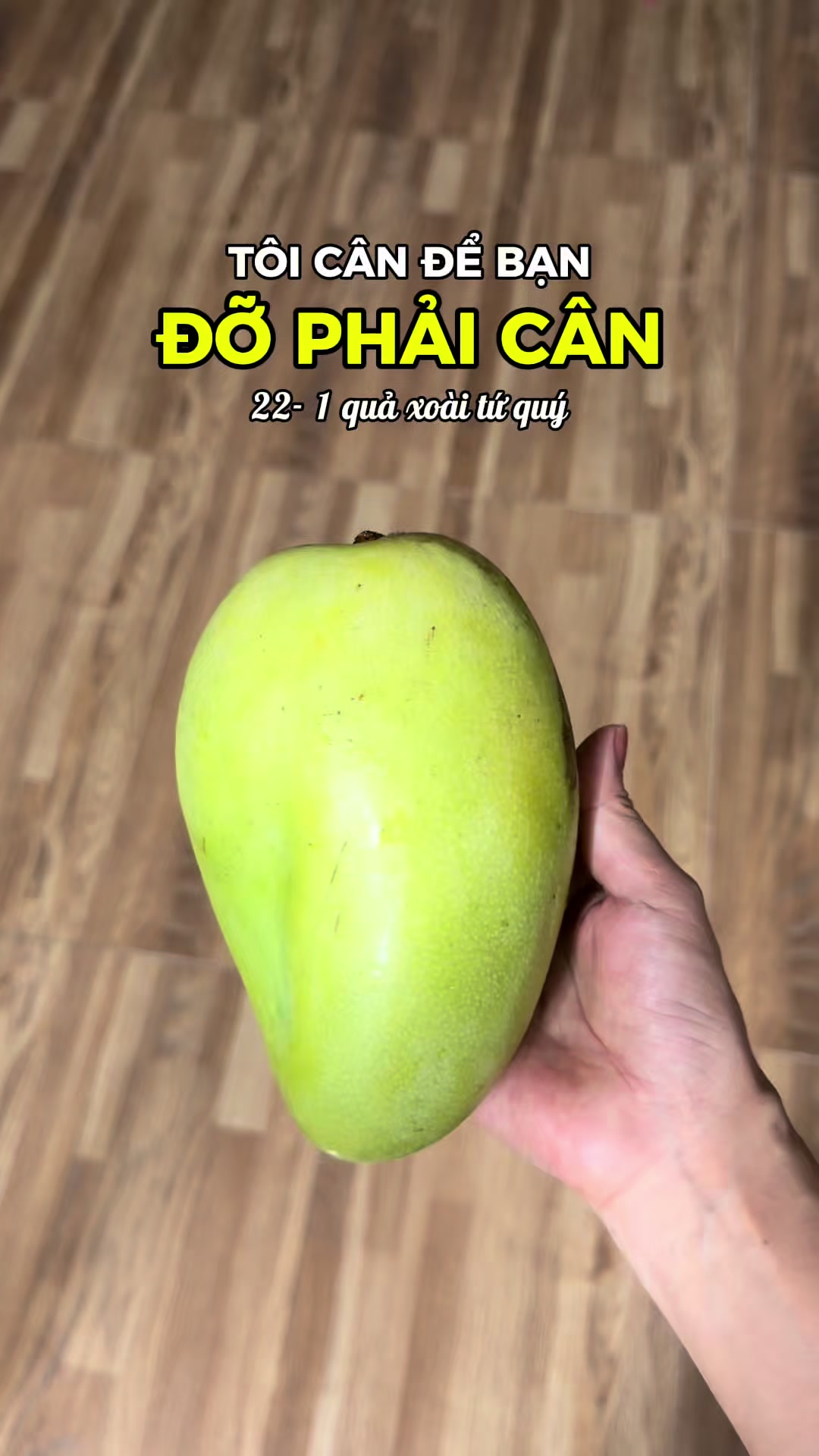 @Phương Ở Đ&acirc;y - Caloer