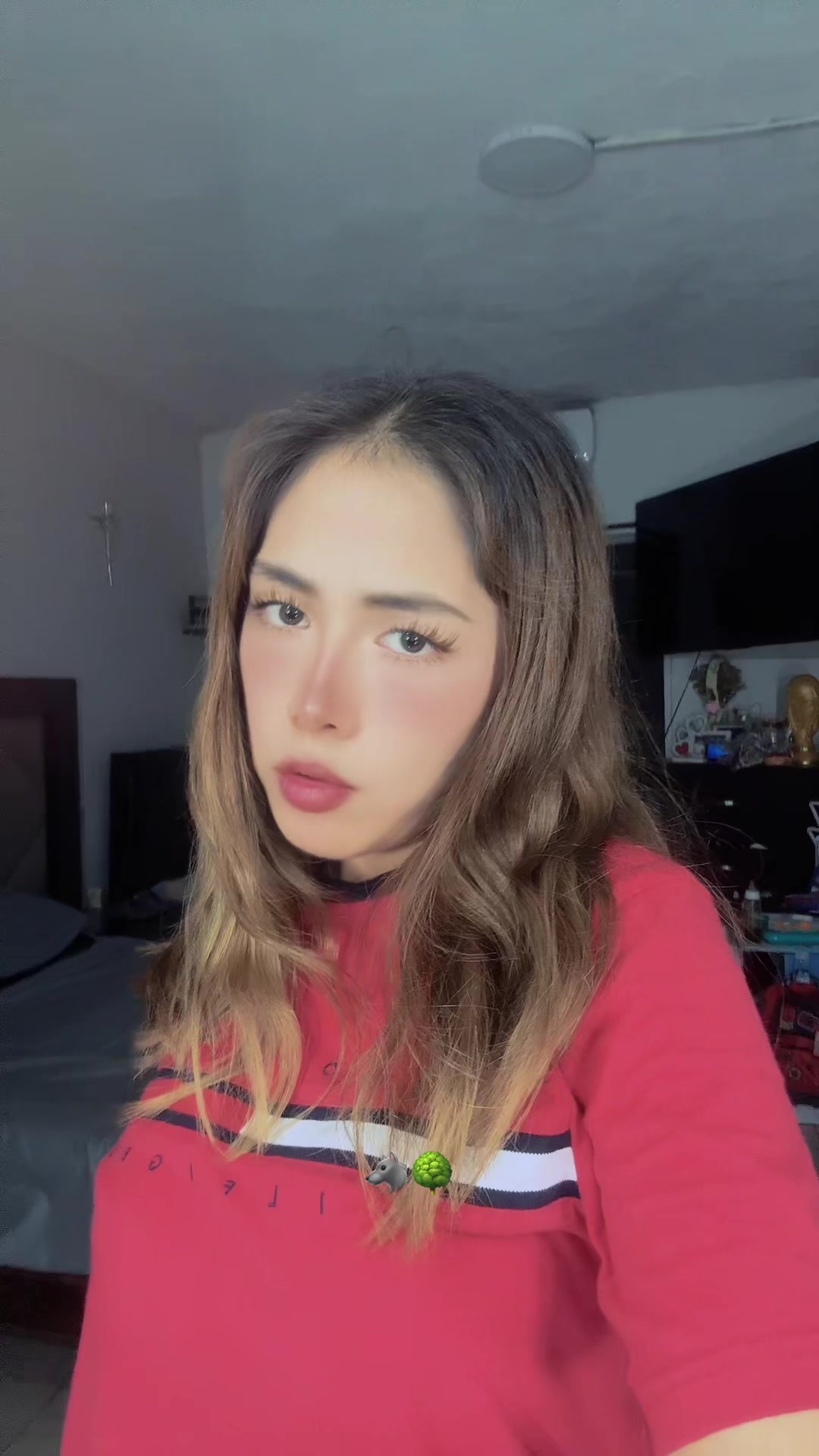 @Ani Rocha