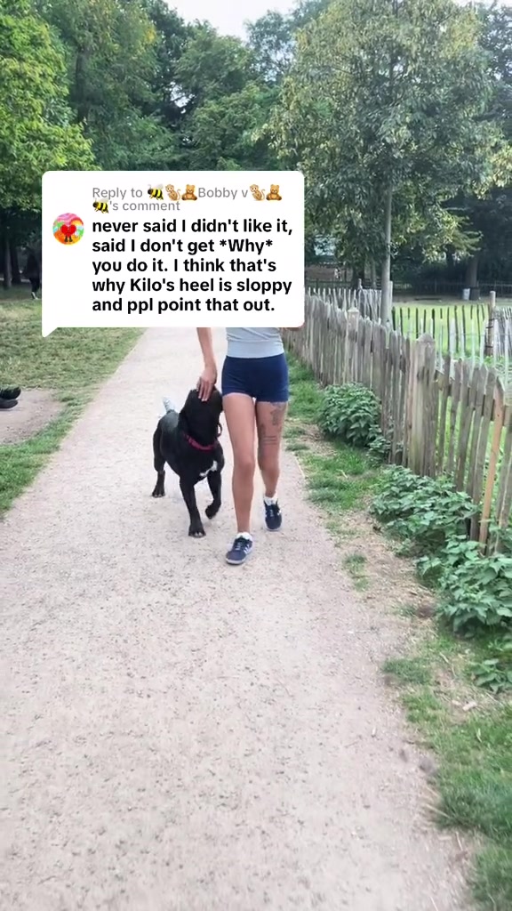 @pawsonpoint.k9s