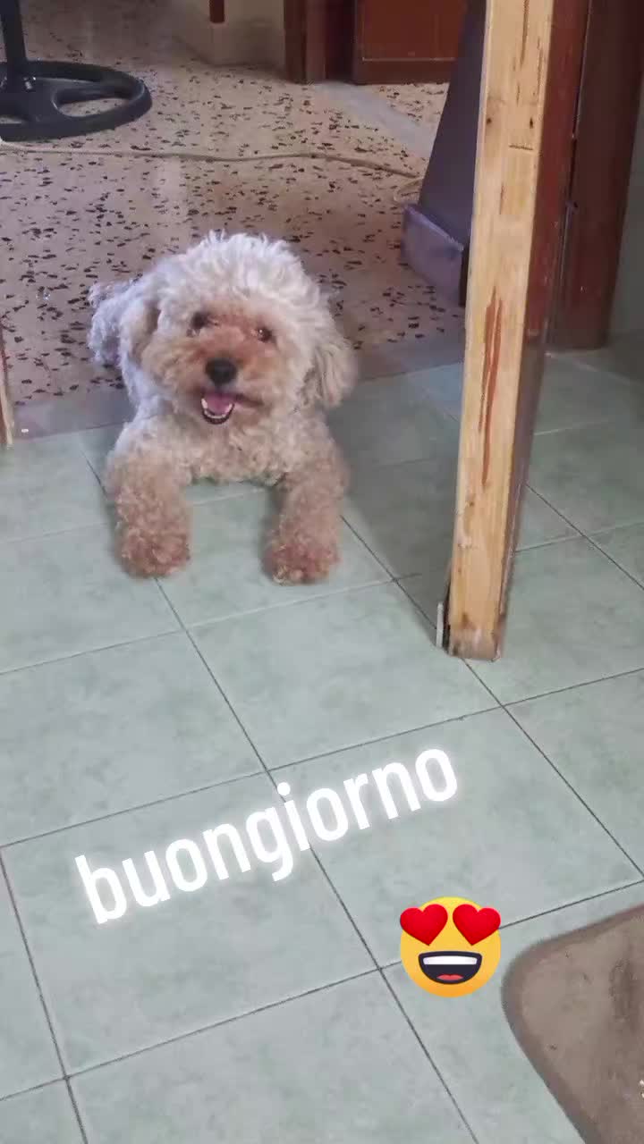 @Giovanna _chicco