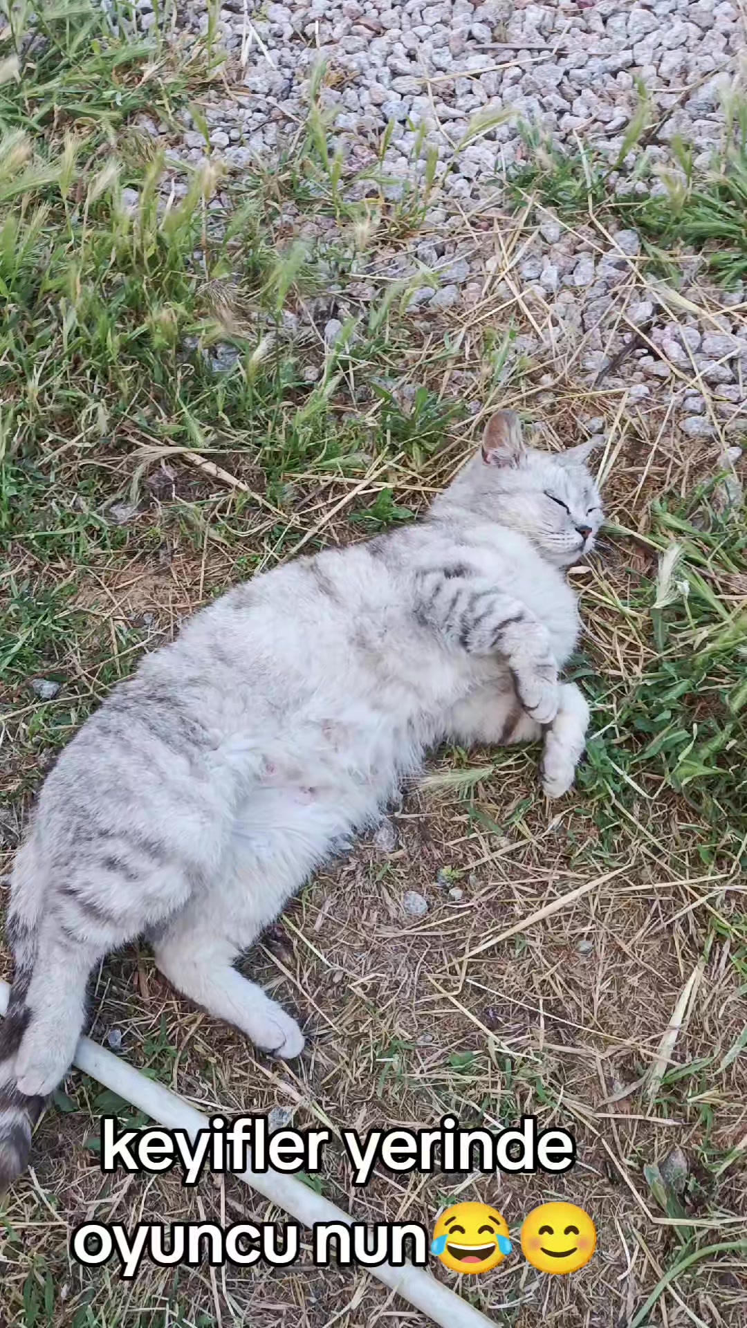 @yılmaz &Ccedil;etinkaya