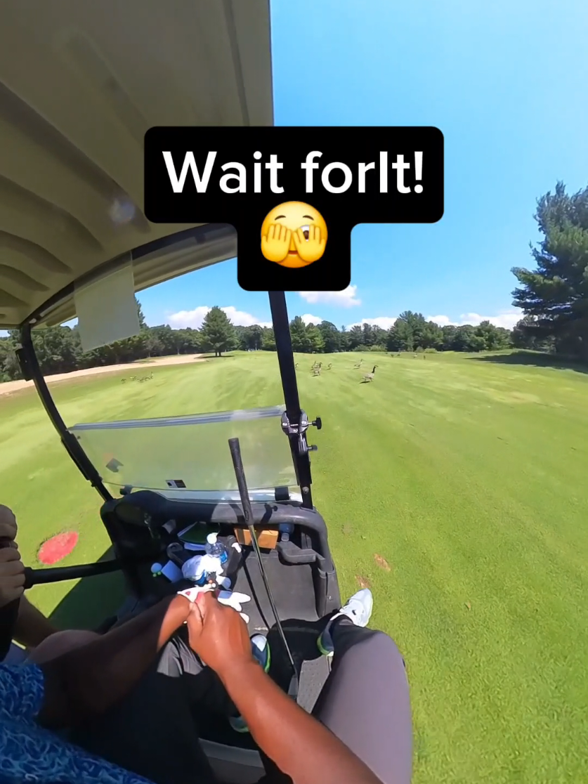 @TGV GOLF