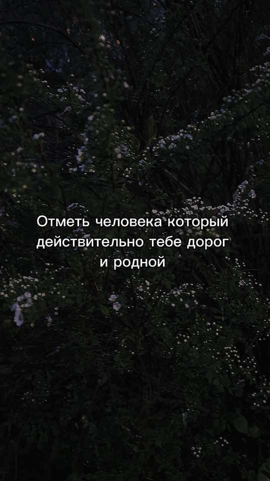 @💎Кирюша 💎