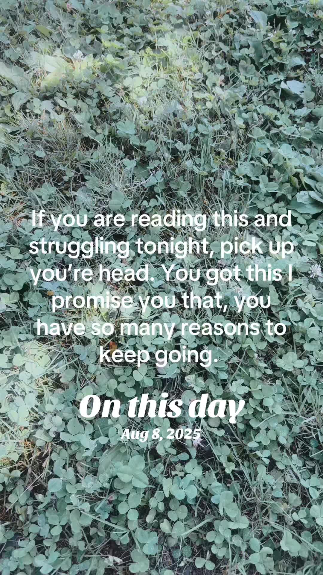 @Zachary Bartik