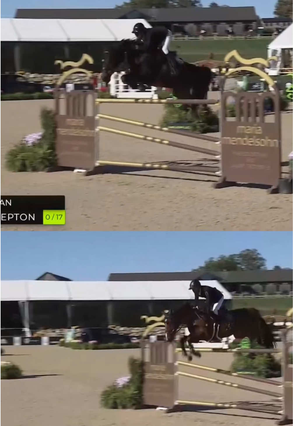 @Major League Show Jumping