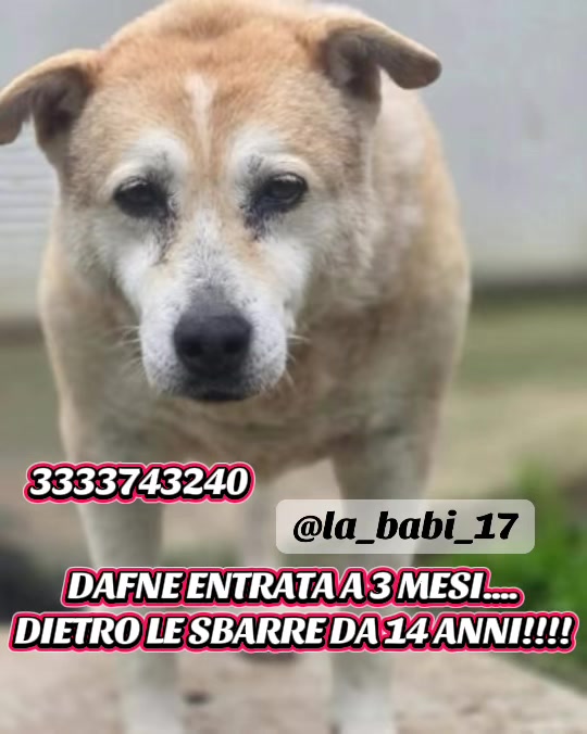 @la_babi_17
