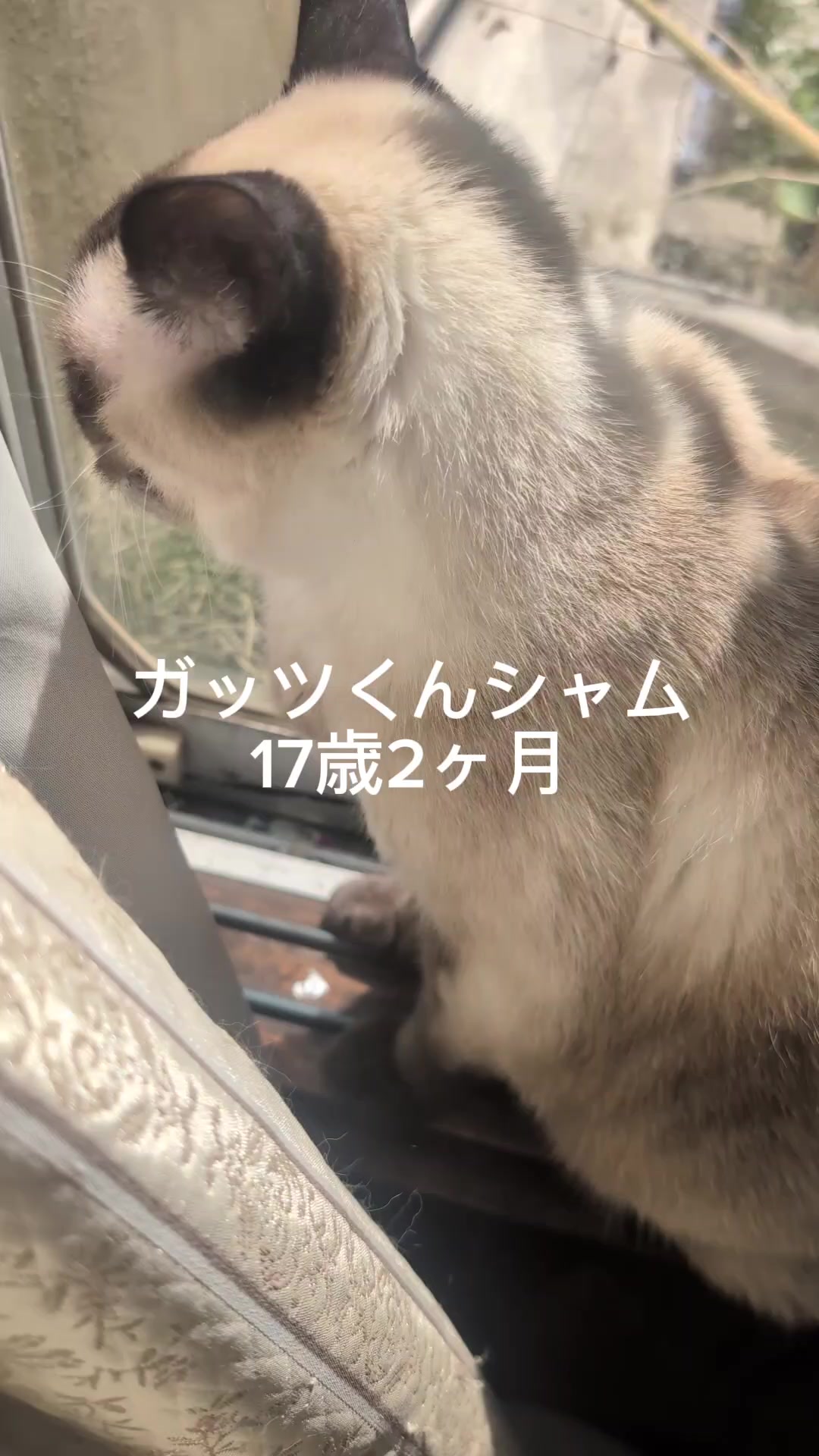 @睡眠プロデュース