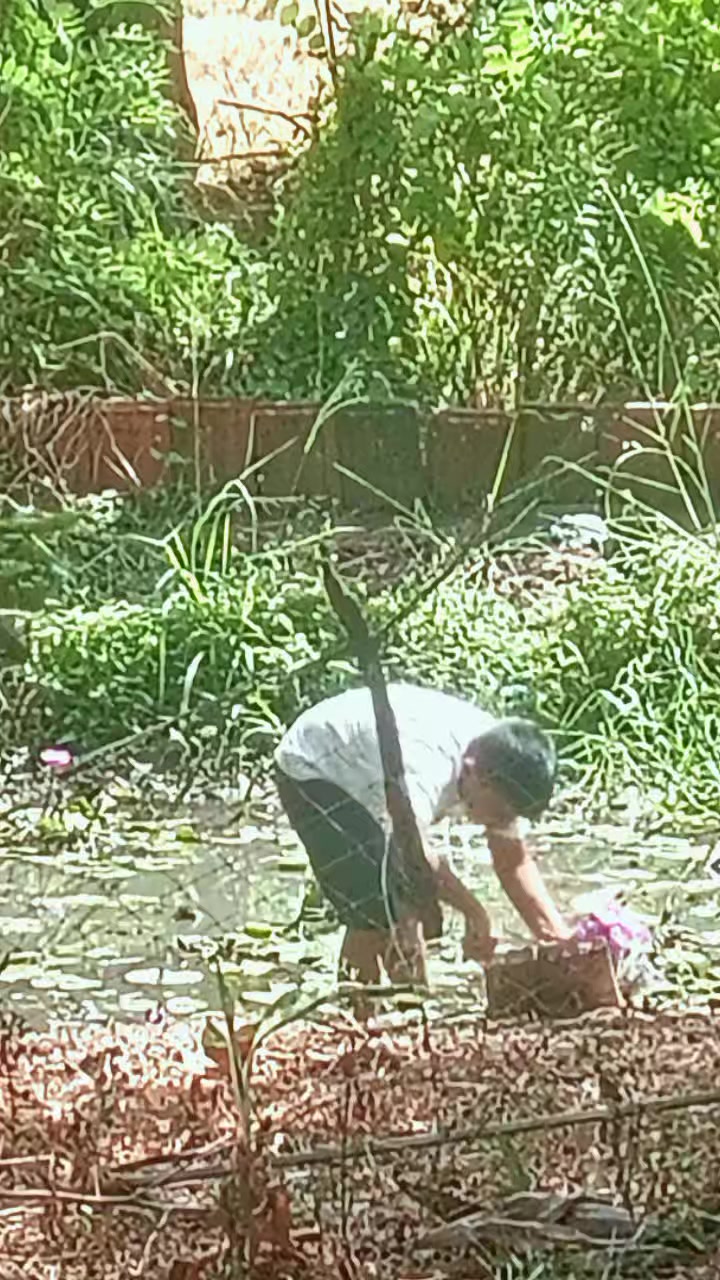 @සබ්බ දානං ධම්ම දානං ජිනාති