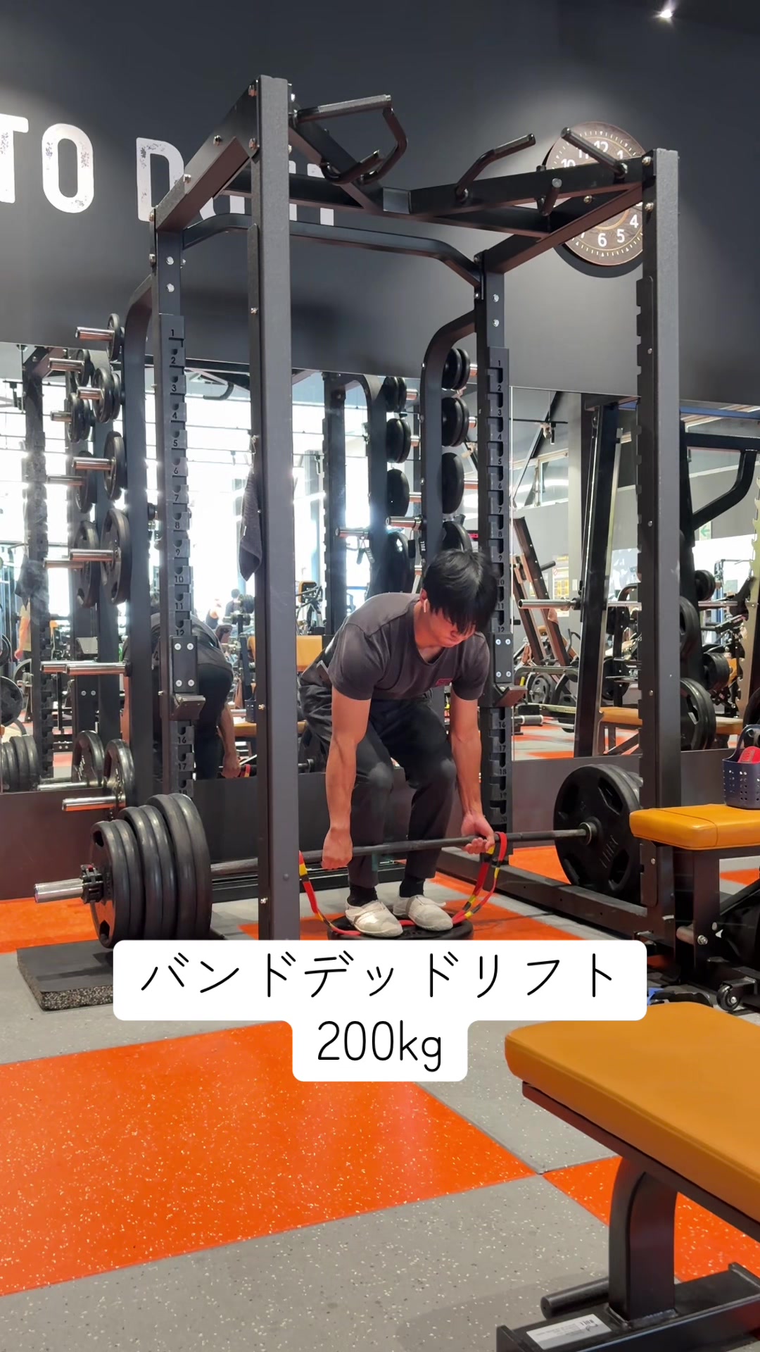 @キクタン【円盤投げてます】