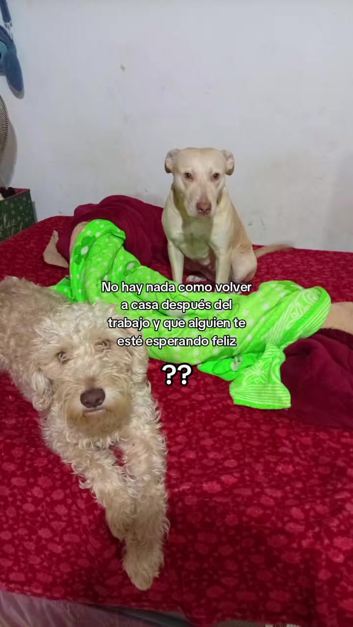 @andreita🦦🥀