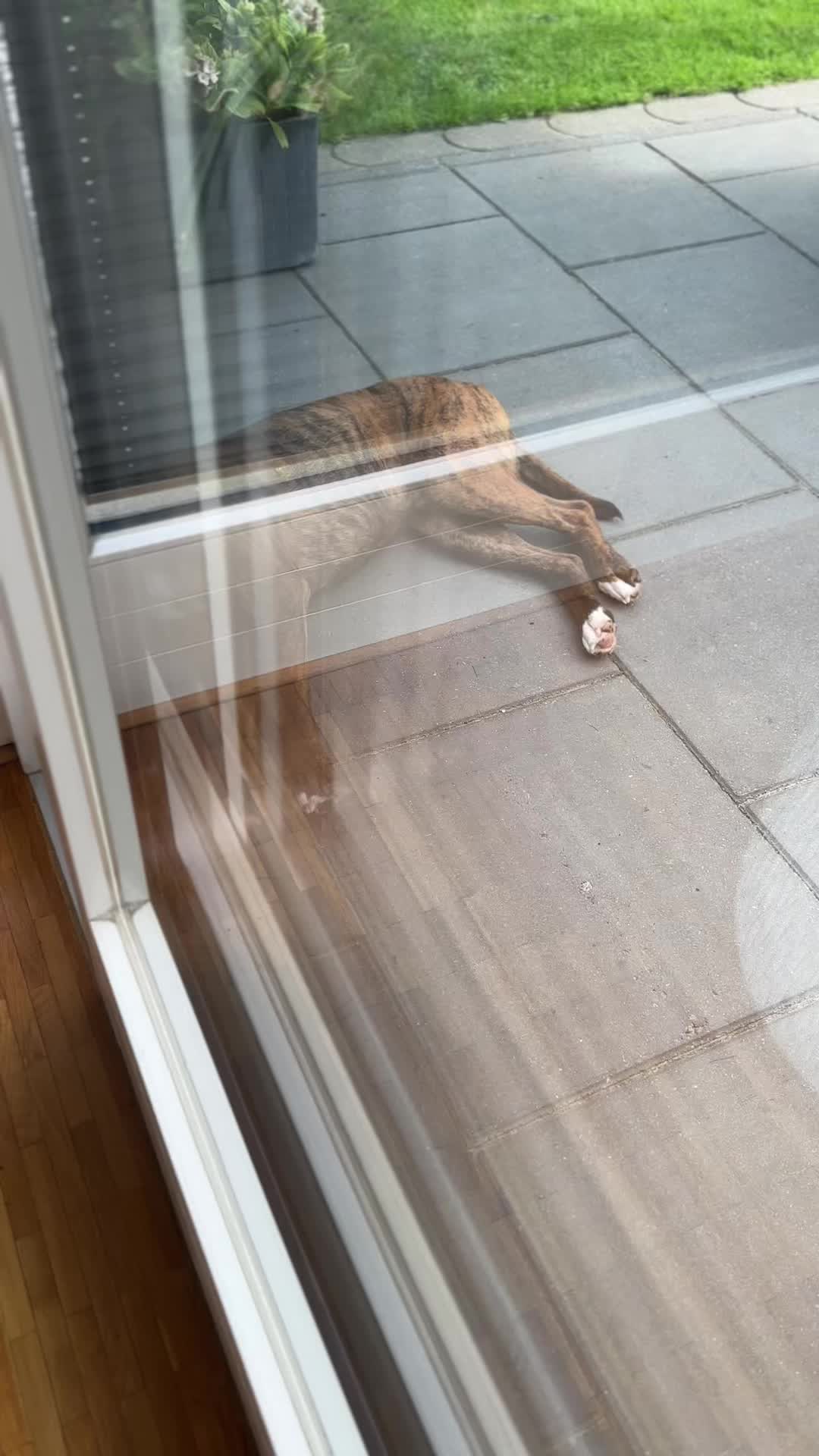 @SlyandBuddy