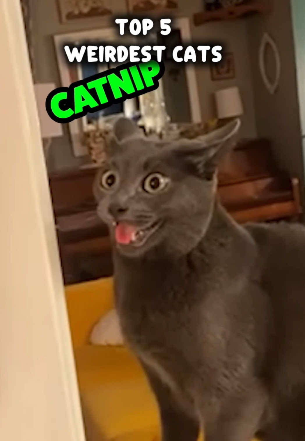 @Rufus Goodboy