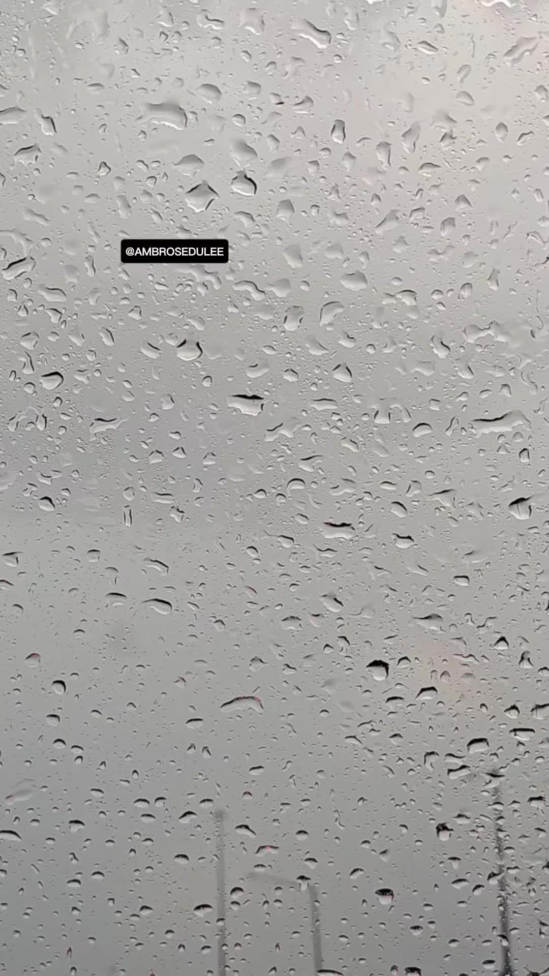 @Ambrosedulee ™️