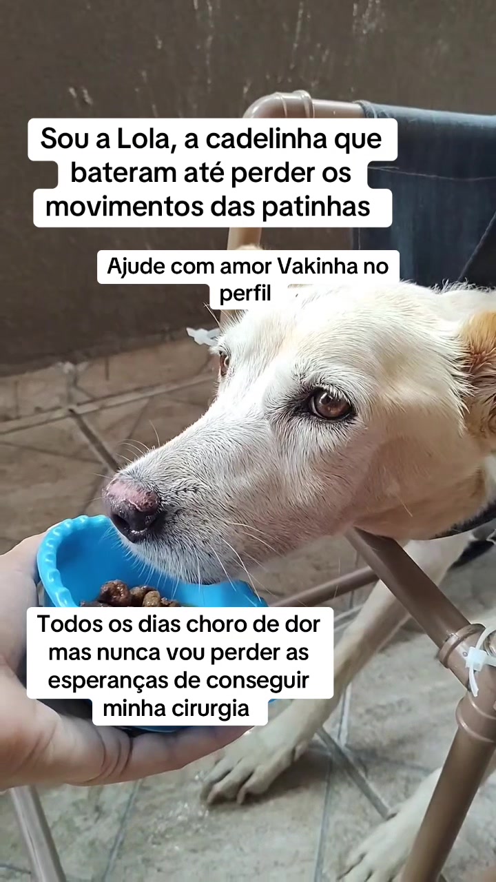 @Ajude a Lola