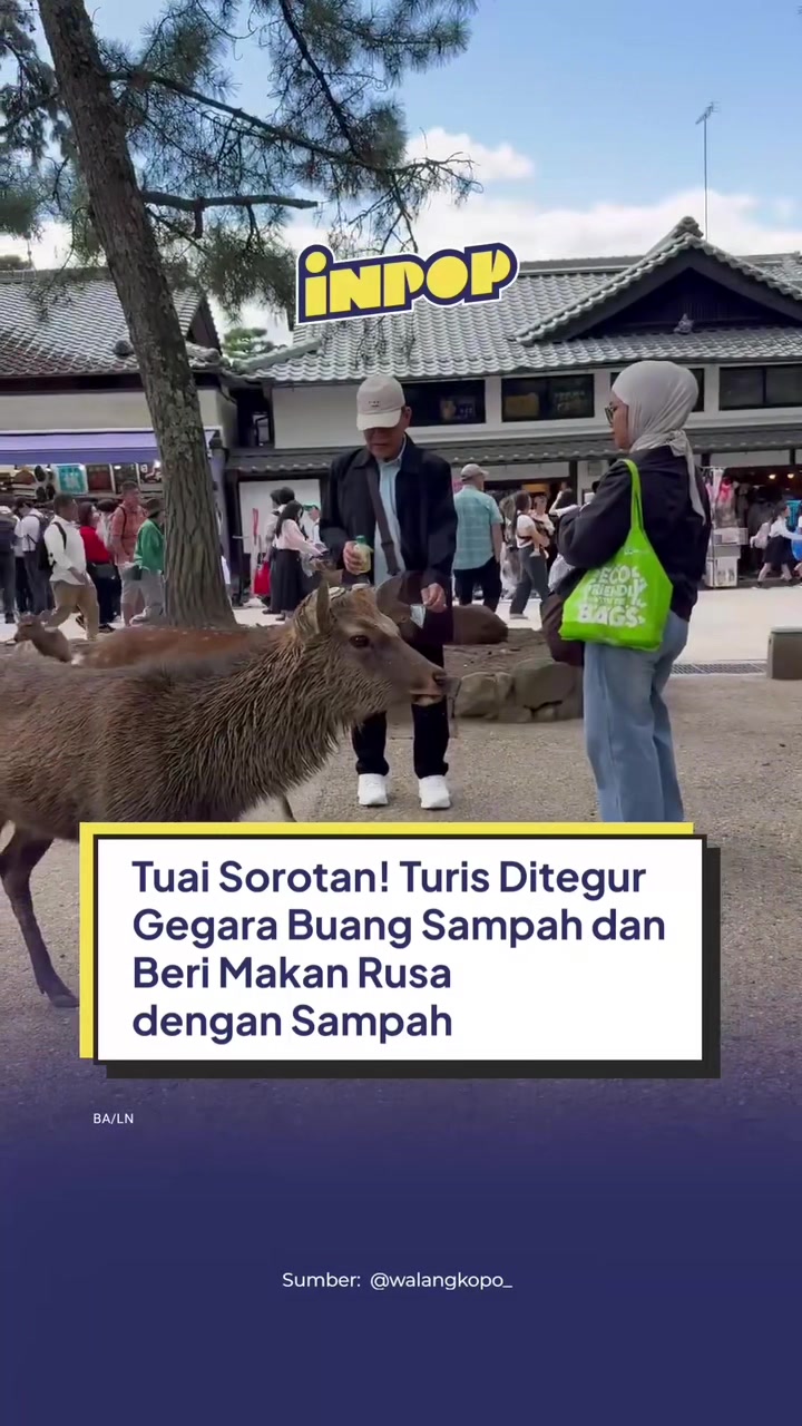 @inpopmedia