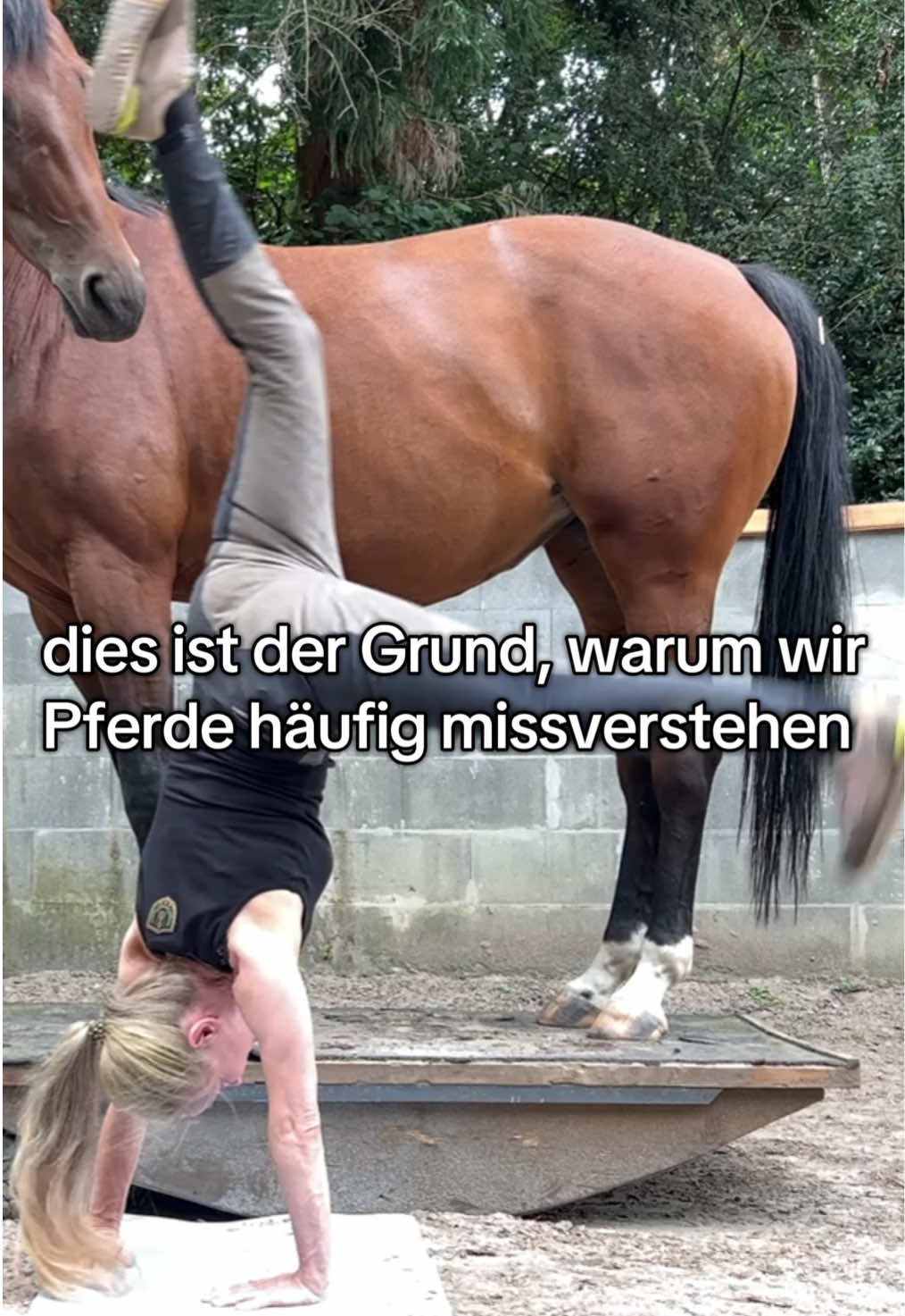 @Ani