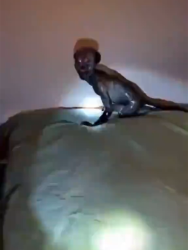 @jude