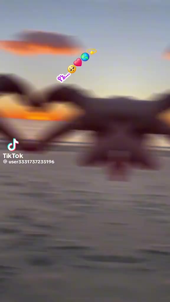 @endrisመቅደላ, ፋሚሊ