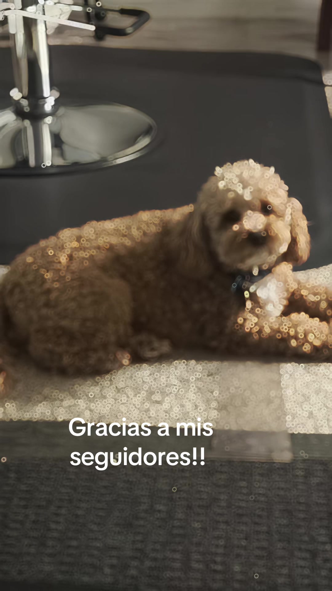 @pattycastillot