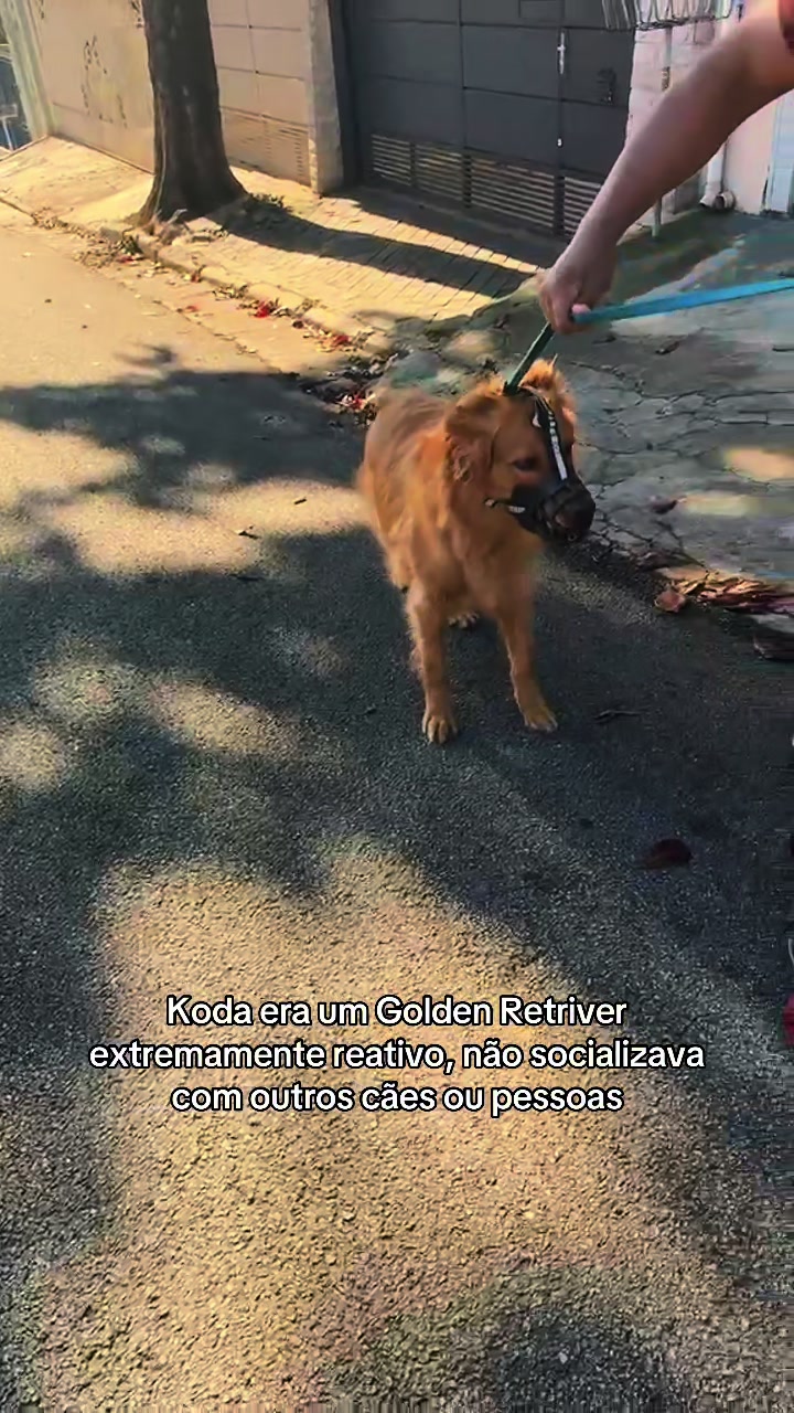 @Roberta Barbosa
