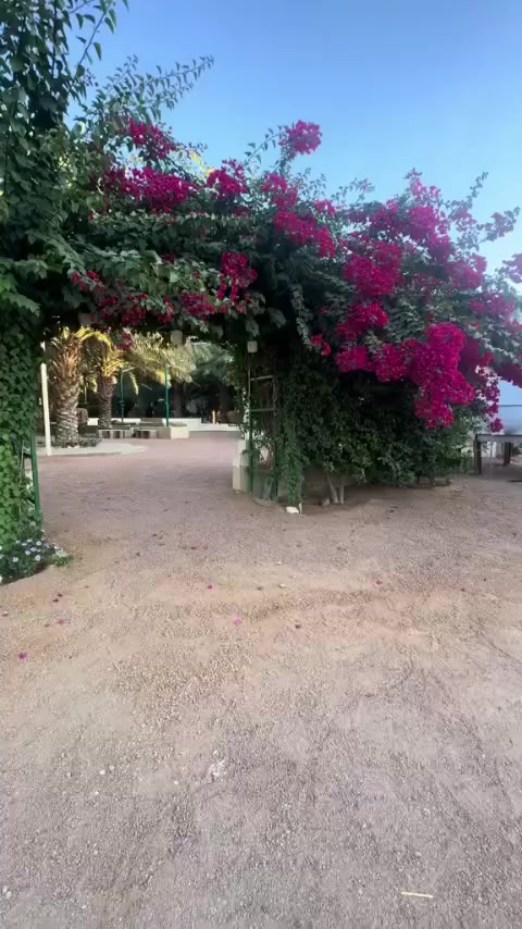 @🇹🇳Májdí Gàsmí🇬🇷