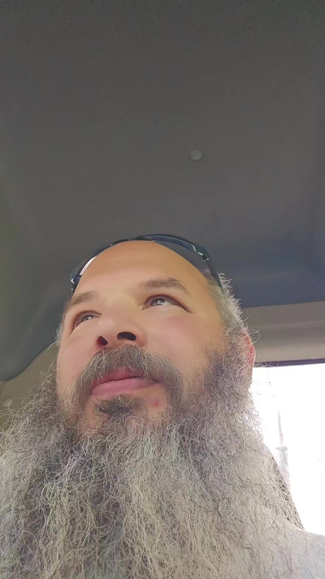 @chinchillagod