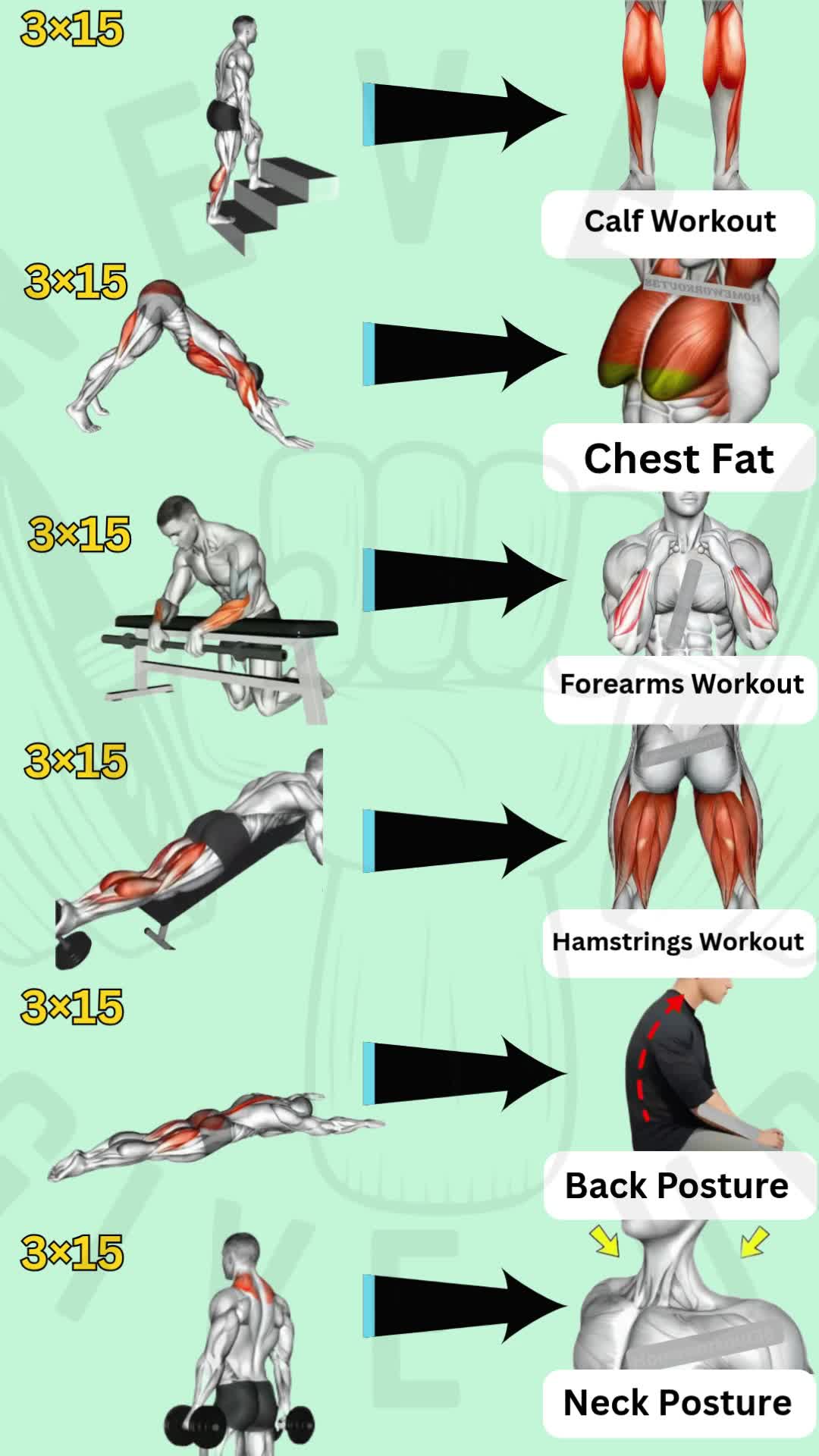 @HOMEWORKOUT