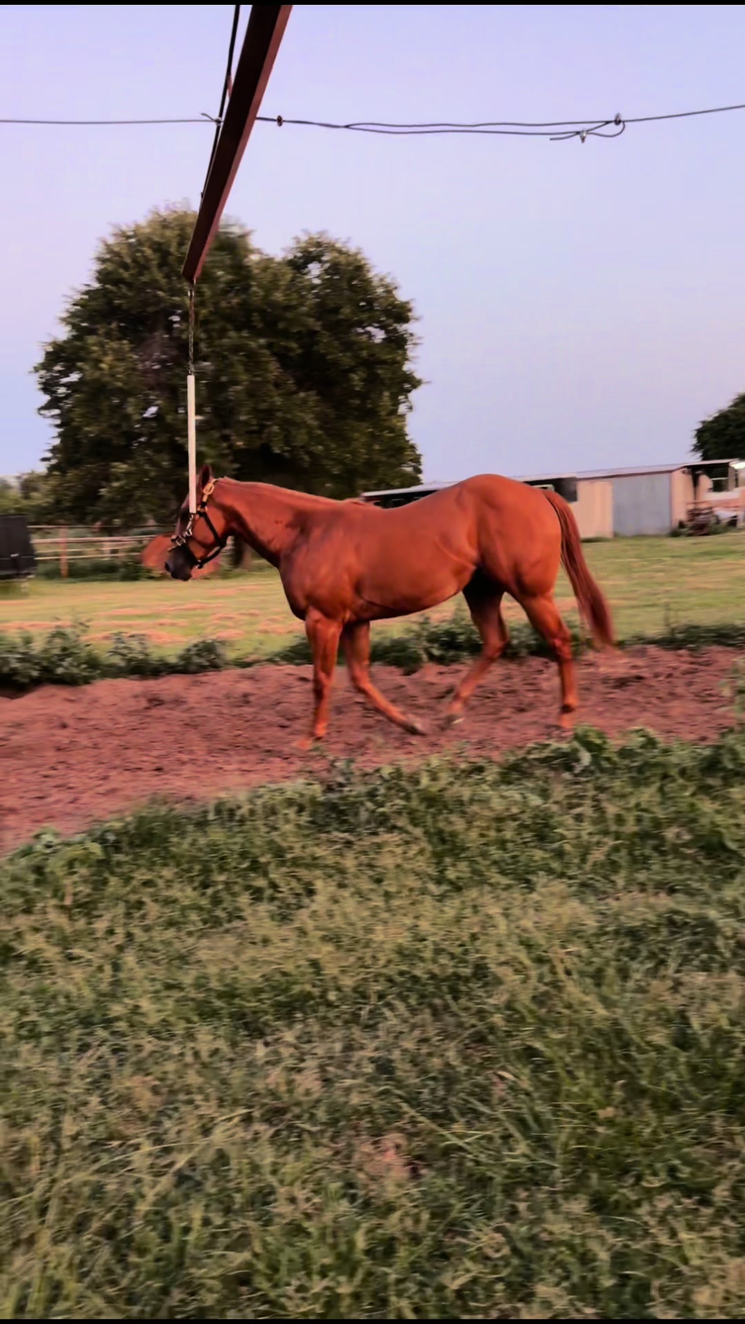 @Victor Hugo Garcia