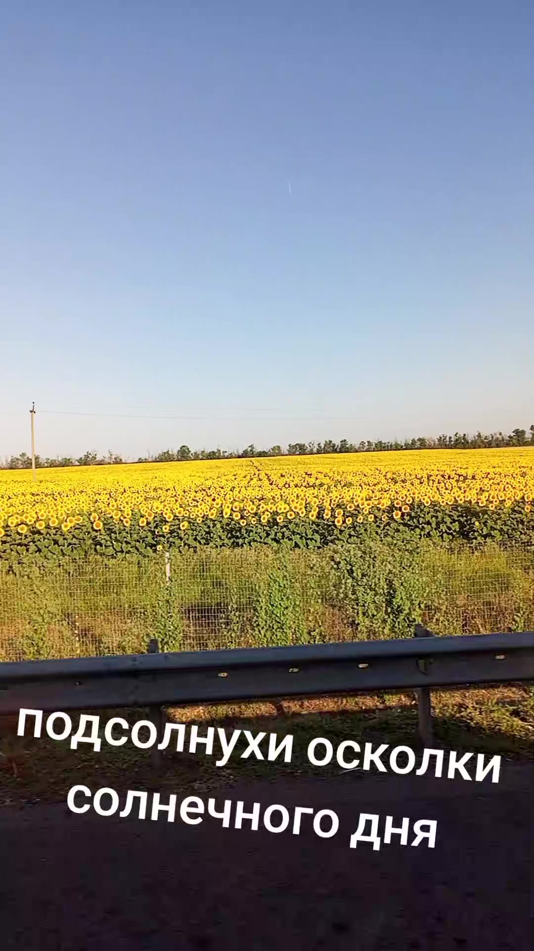 @Елена