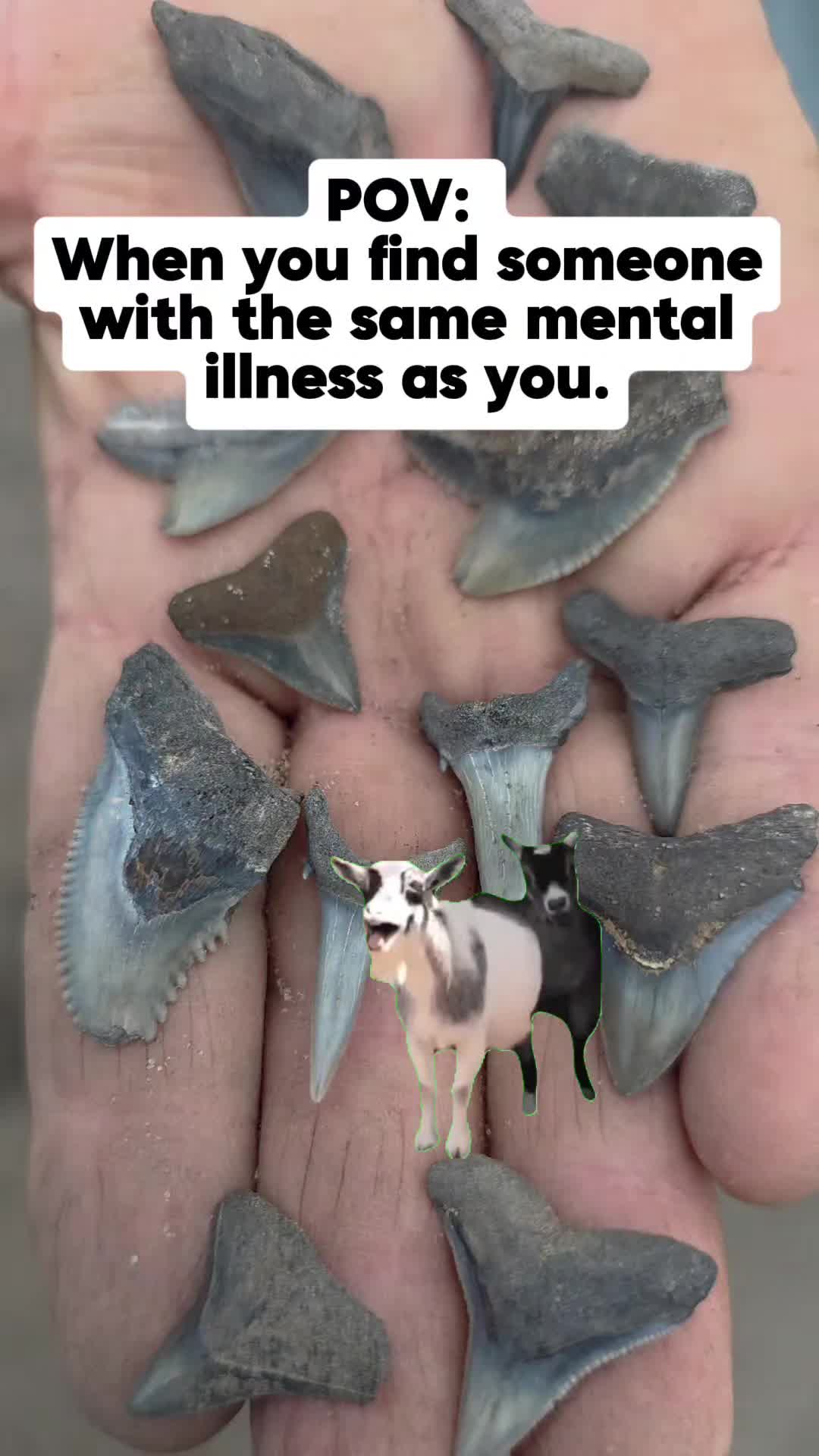 @RelicReef