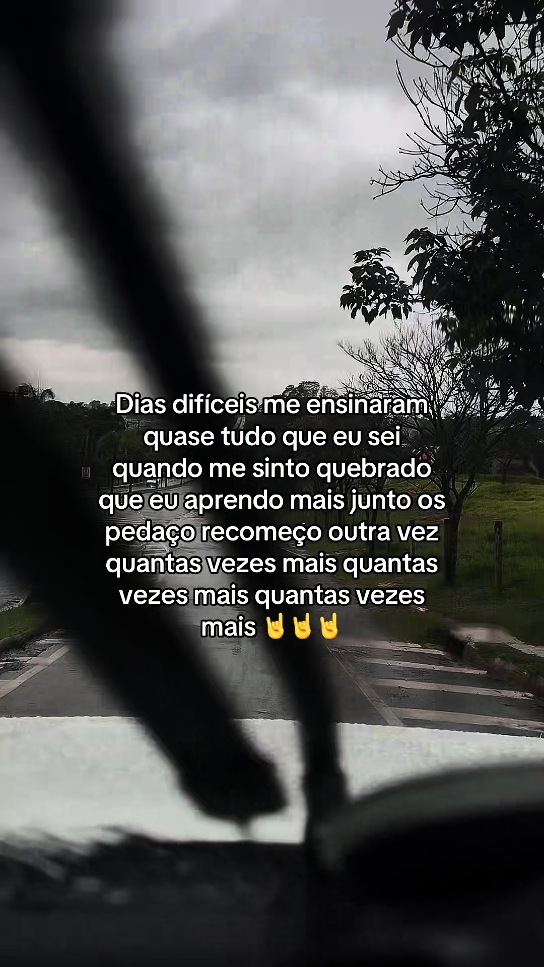 @leandrosilvaoficiaal
