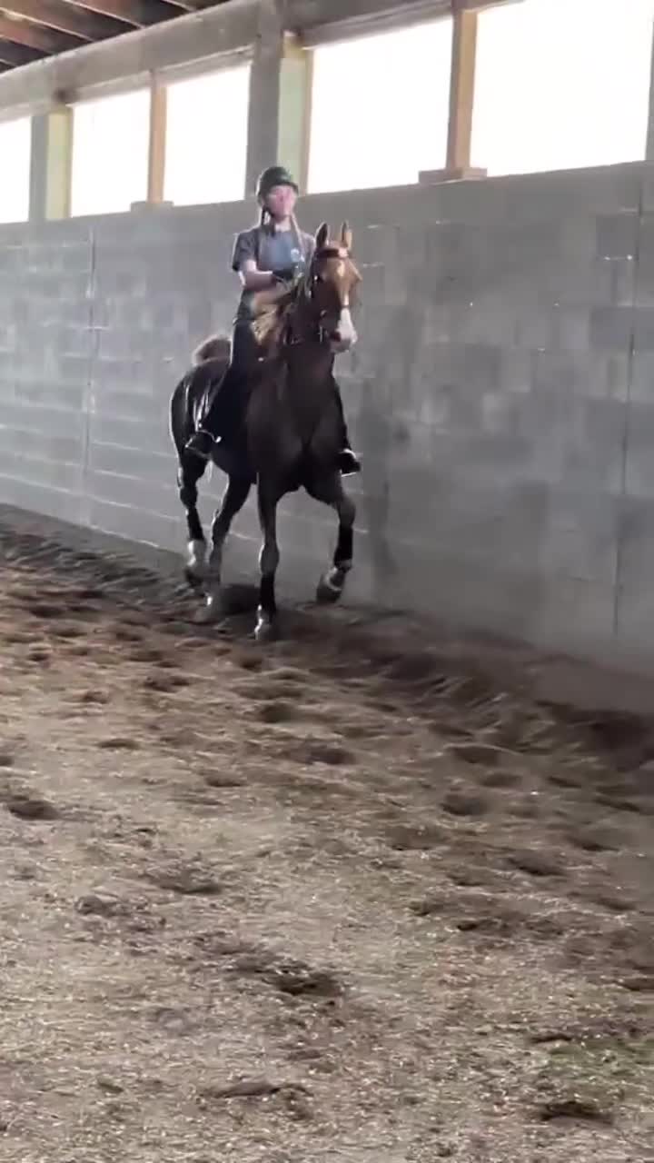 @saddleseat_4life
