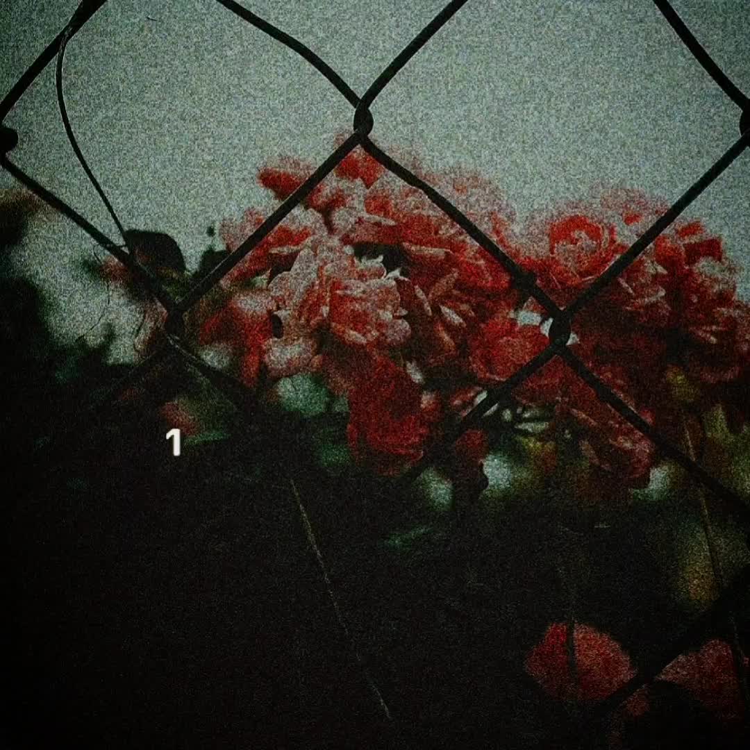 @tm_songs_official