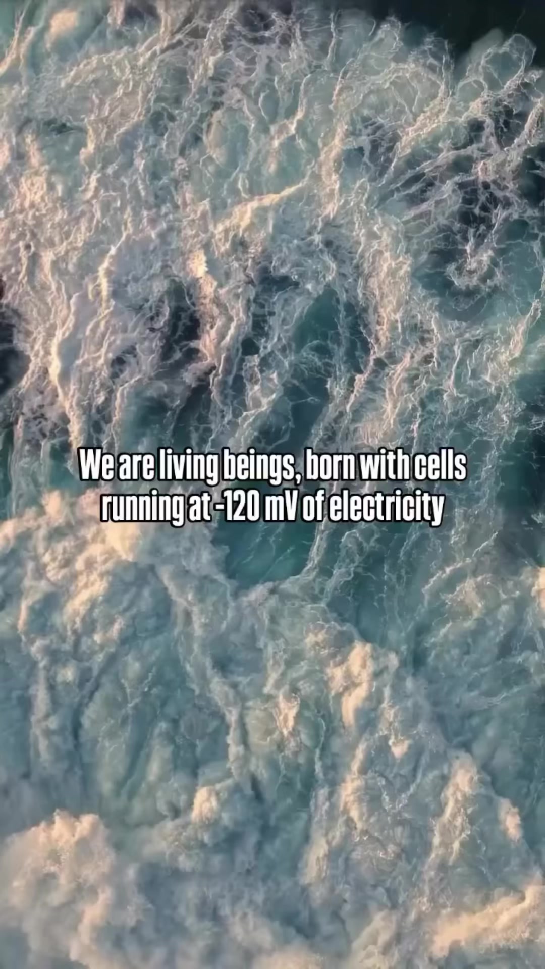 @Activateyourshine | Lauren