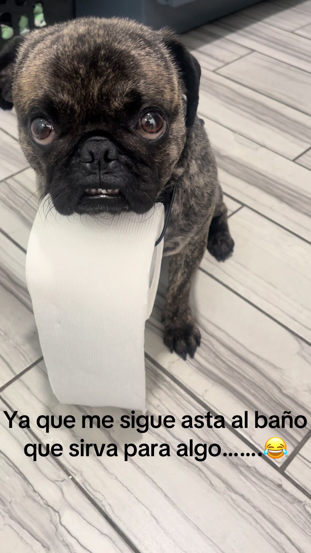 @𝕭𝖔𝖓𝖌𝖔