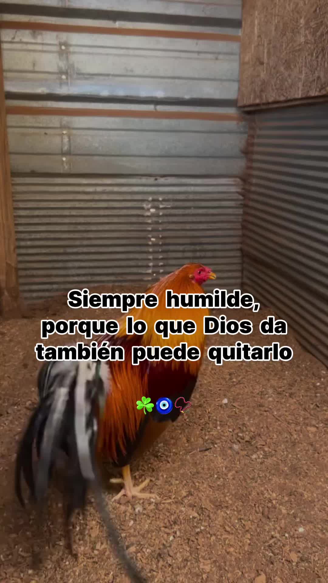 @Los tres pilones